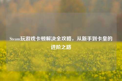 Steam玩游戏卡顿解决全攻略,从新手到卡皇的进阶之路