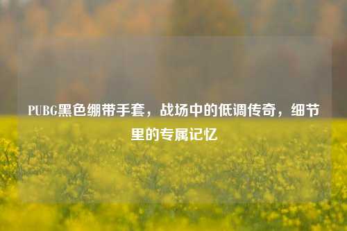 PUBG黑色绷带手套,战场中的低调传奇,细节里的专属记忆