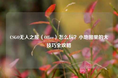 CSGO无人之屋(Office)怎么玩?小地图里的大技巧全攻略