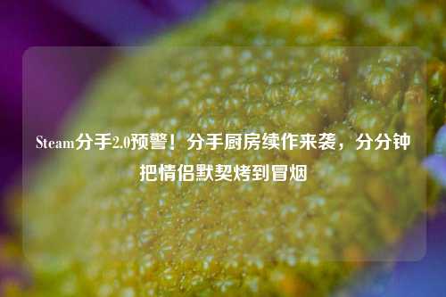 Steam分手2.0预警!分手厨房续作来袭,分分钟把情侣默契烤到冒烟