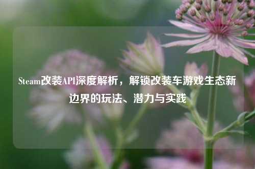 Steam改装API深度解析,解锁改装车游戏生态新边界的玩法、潜力与实践