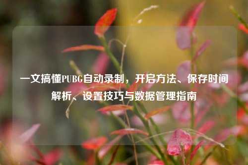 一文搞懂PUBG自动录制,开启方法、保存时间解析、设置技巧与数据管理指南