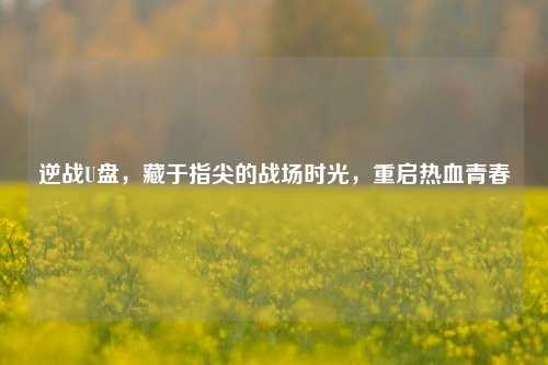 逆战U盘,藏于指尖的战场时光,重启热血青春