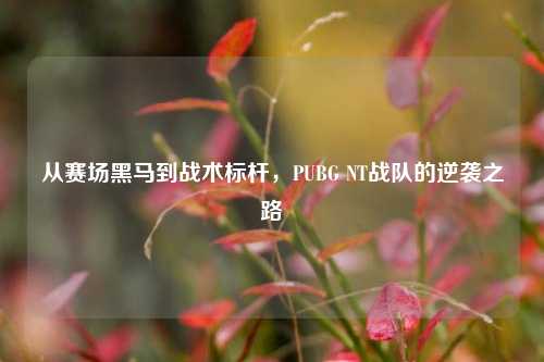 从赛场黑马到战术标杆,PUBG NT战队的逆袭之路