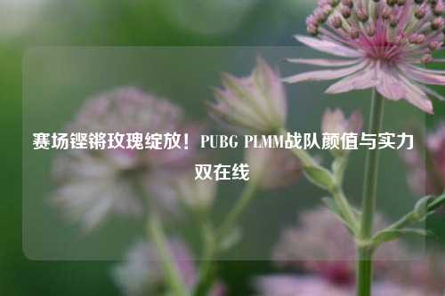 赛场铿锵玫瑰绽放!PUBG PLMM战队颜值与实力双在线