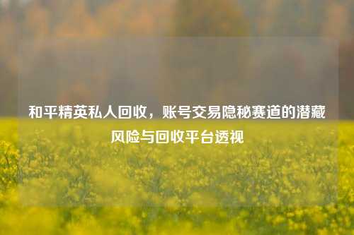 和平精英私人回收,账号交易隐秘赛道的潜藏风险与回收平台透视