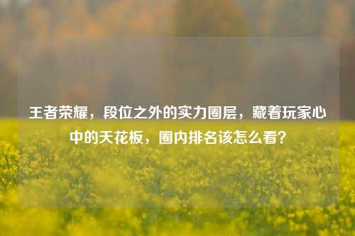 王者荣耀,段位之外的实力圈层,藏着玩家心中的天花板,圈内排名该怎么看?