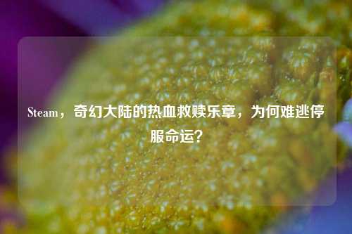 Steam,奇幻大陆的热血救赎乐章,为何难逃停服命运?