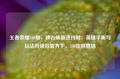 王者荣耀340期,峡谷焕新进行时,英雄平衡与玩法升级双管齐下,340皮肤登场