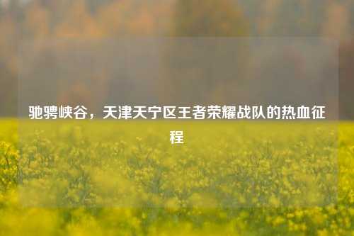 驰骋峡谷,天津天宁区王者荣耀战队的热血征程