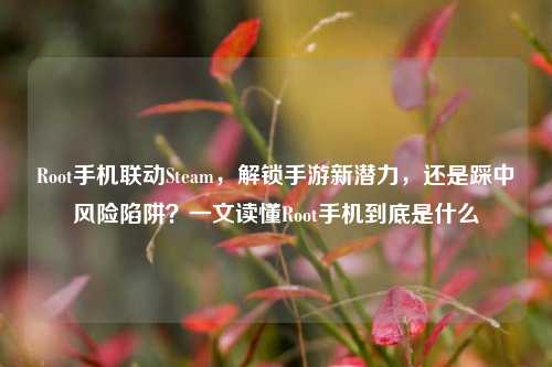 Root手机联动Steam,解锁手游新潜力,还是踩中风险陷阱?一文读懂Root手机到底是什么