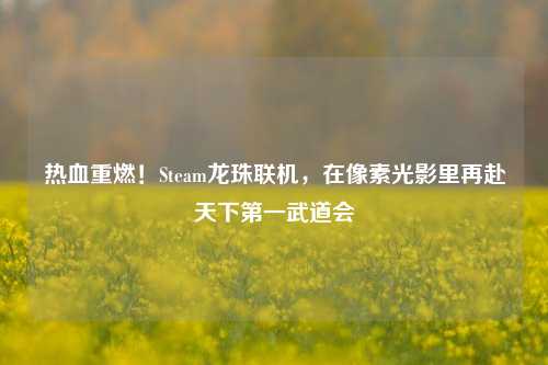 热血重燃!Steam龙珠联机,在像素光影里再赴天下第一武道会