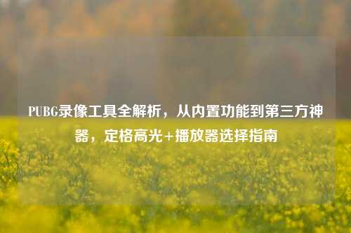 PUBG录像工具全解析,从内置功能到第三方神器,定格高光+播放器选择指南