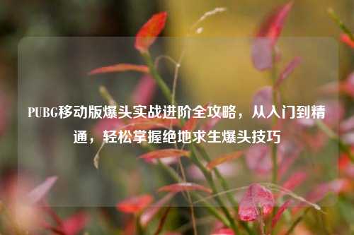 PUBG移动版爆头实战进阶全攻略,从入门到精通,轻松掌握绝地求生爆头技巧