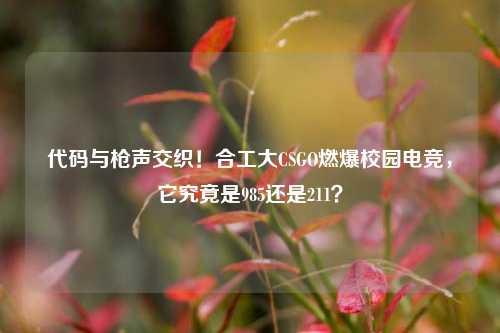 代码与枪声交织!合工大CSGO燃爆校园电竞,它究竟是985还是211?