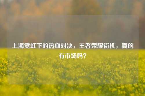 上海霓虹下的热血对决,王者荣耀街机,真的有市场吗?
