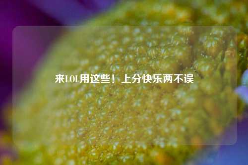 来LOL用这些!上分快乐两不误