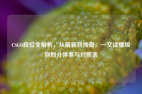 CSGO段位全解析,从萌新到传奇,一文读懂级别划分体系与对照表