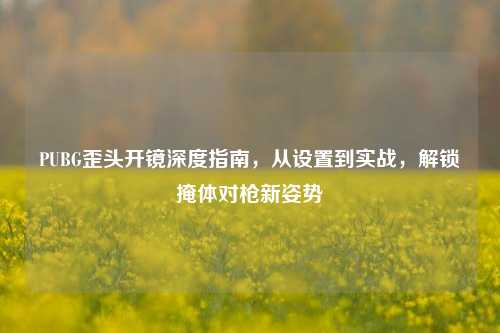 PUBG歪头开镜深度指南,从设置到实战,解锁掩体对枪新姿势