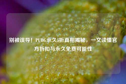 别被误导!PUBG永久5折真相揭秘,一文读懂官方折扣与永久免费可能性