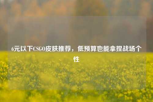 6元以下CSGO皮肤推荐,低预算也能拿捏战场个性