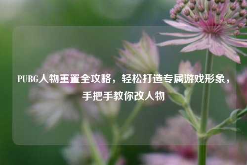 PUBG人物重置全攻略,轻松打造专属游戏形象,手把手教你改人物