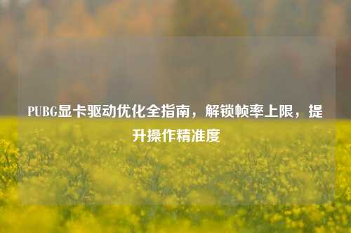 PUBG显卡驱动优化全指南,解锁帧率上限,提升操作精准度