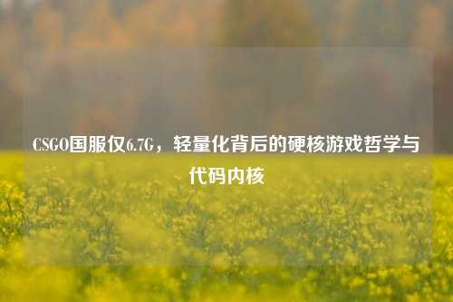 CSGO国服仅6.7G,轻量化背后的硬核游戏哲学与代码内核