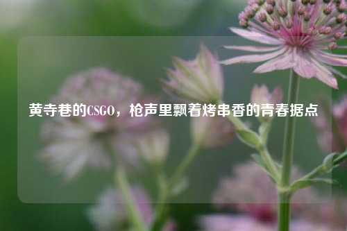 黄寺巷的CSGO，枪声里飘着烤串香的青春据点