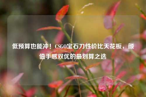 低预算也能冲!CSGO宝石刀性价比天花板,颜值手感双优的最划算之选