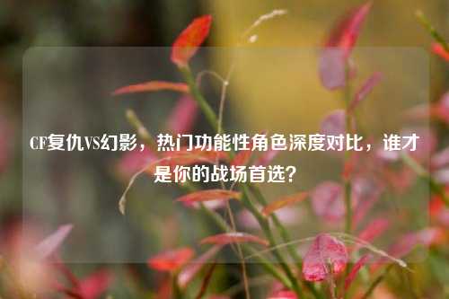 CF复仇VS幻影,热门功能性角色深度对比,谁才是你的战场首选?