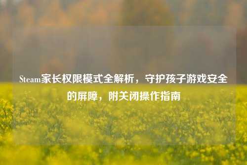 Steam家长权限模式全解析，守护孩子游戏安全的屏障，附关闭操作指南