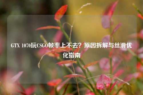 GTX 1070玩CSGO帧率上不去?原因拆解与丝滑优化指南