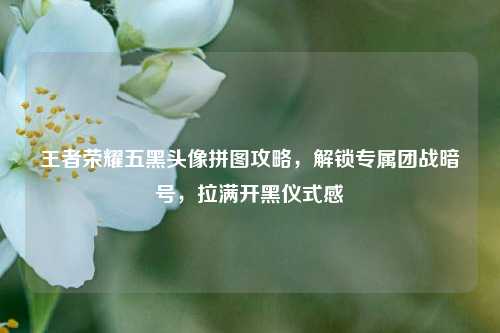 王者荣耀五黑头像拼图攻略,解锁专属团战暗号,拉满开黑仪式感