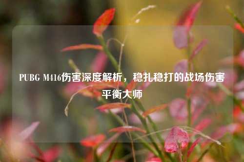 PUBG M416伤害深度解析,稳扎稳打的战场伤害平衡大师