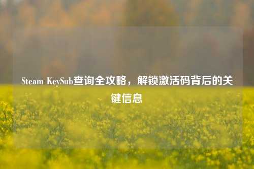 Steam KeySub查询全攻略,解锁激活码背后的关键信息
