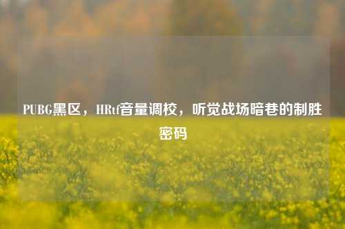PUBG黑区,HRtf音量调校,听觉战场暗巷的制胜密码