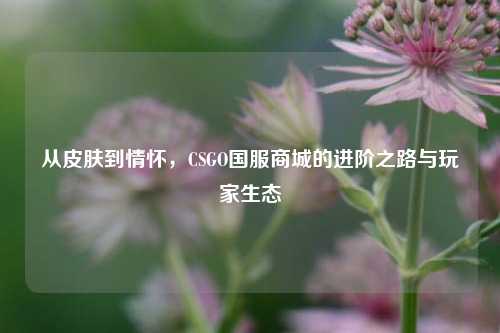 从皮肤到情怀,CSGO国服商城的进阶之路与玩家生态