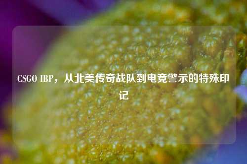 CSGO IBP,从北美传奇战队到电竞警示的特殊印记