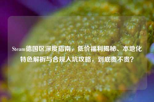 Steam德国区深度指南,低价福利揭秘、本地化特色解析与合规入坑攻略,到底贵不贵?