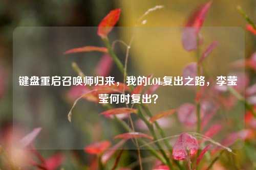 键盘重启召唤师归来，我的LOL复出之路，李莹莹何时复出？
