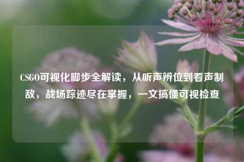 CSGO可视化脚步全解读,从听声辨位到看声制敌,战场踪迹尽在掌握,一文搞懂可视检查