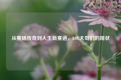 从赛场传奇到人生新赛道,LOL大哥们的现状