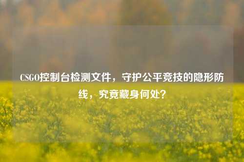 CSGO控制台检测文件,守护公平竞技的隐形防线,究竟藏身何处?