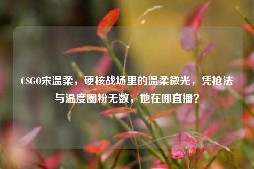 CSGO宋温柔,硬核战场里的温柔微光,凭枪法与温度圈粉无数,她在哪直播?