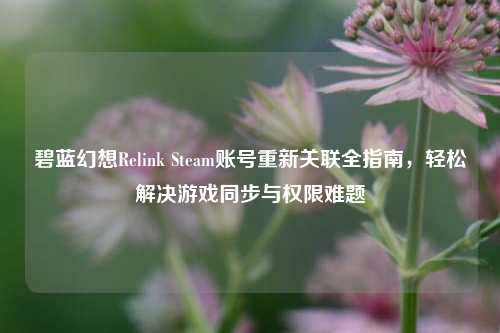 碧蓝幻想Relink Steam账号重新关联全指南，轻松解决游戏同步与权限难题