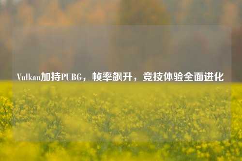 Vulkan加持PUBG,帧率飙升,竞技体验全面进化