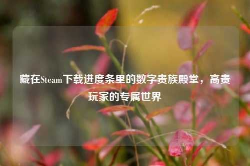藏在Steam下载进度条里的数字贵族殿堂,高贵玩家的专属世界