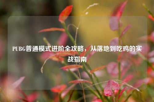 PUBG普通模式进阶全攻略,从落地到吃鸡的实战指南