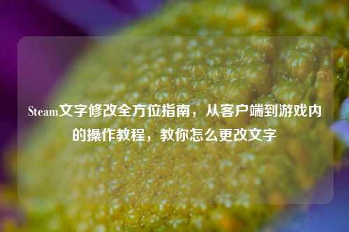 Steam文字修改全方位指南，从客户端到游戏内的操作教程，教你怎么更改文字